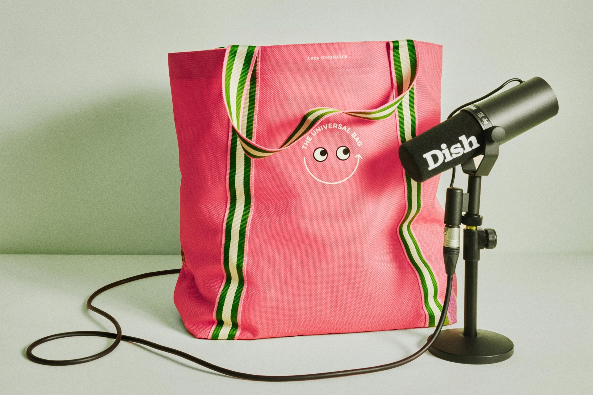 Dish x Universal Bag