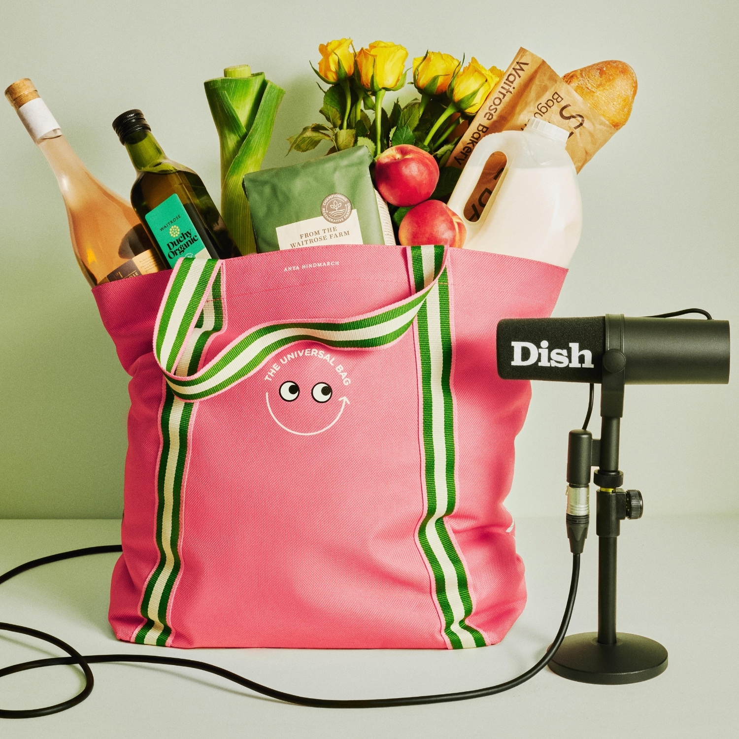 Dish x Universal Bag