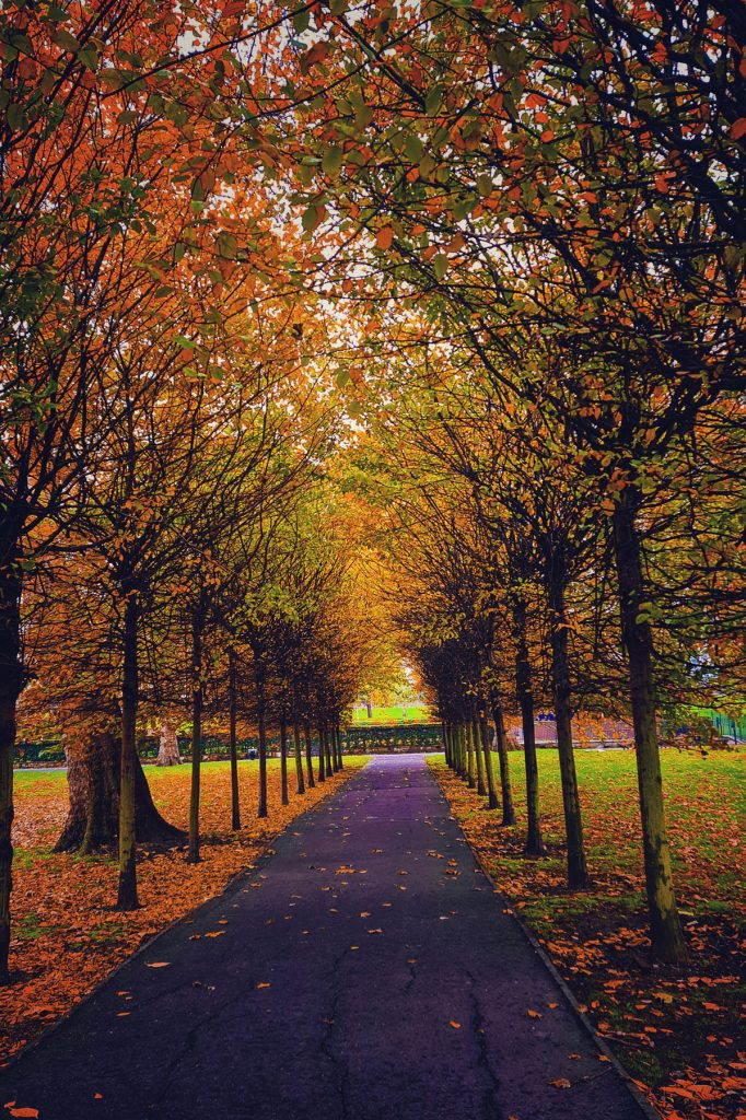 Going Out: Lovely Things To Do In London This October