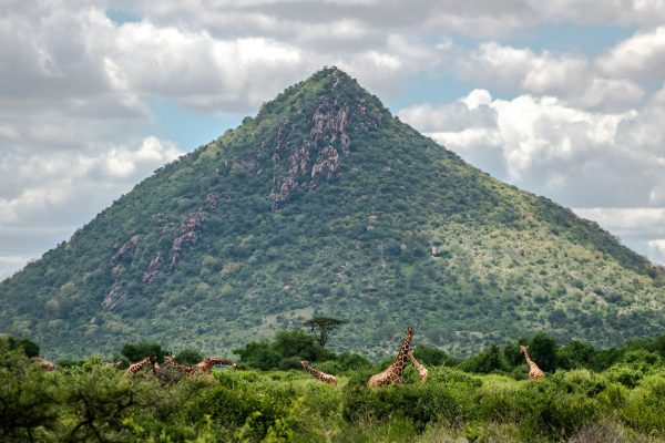 sambura kenya