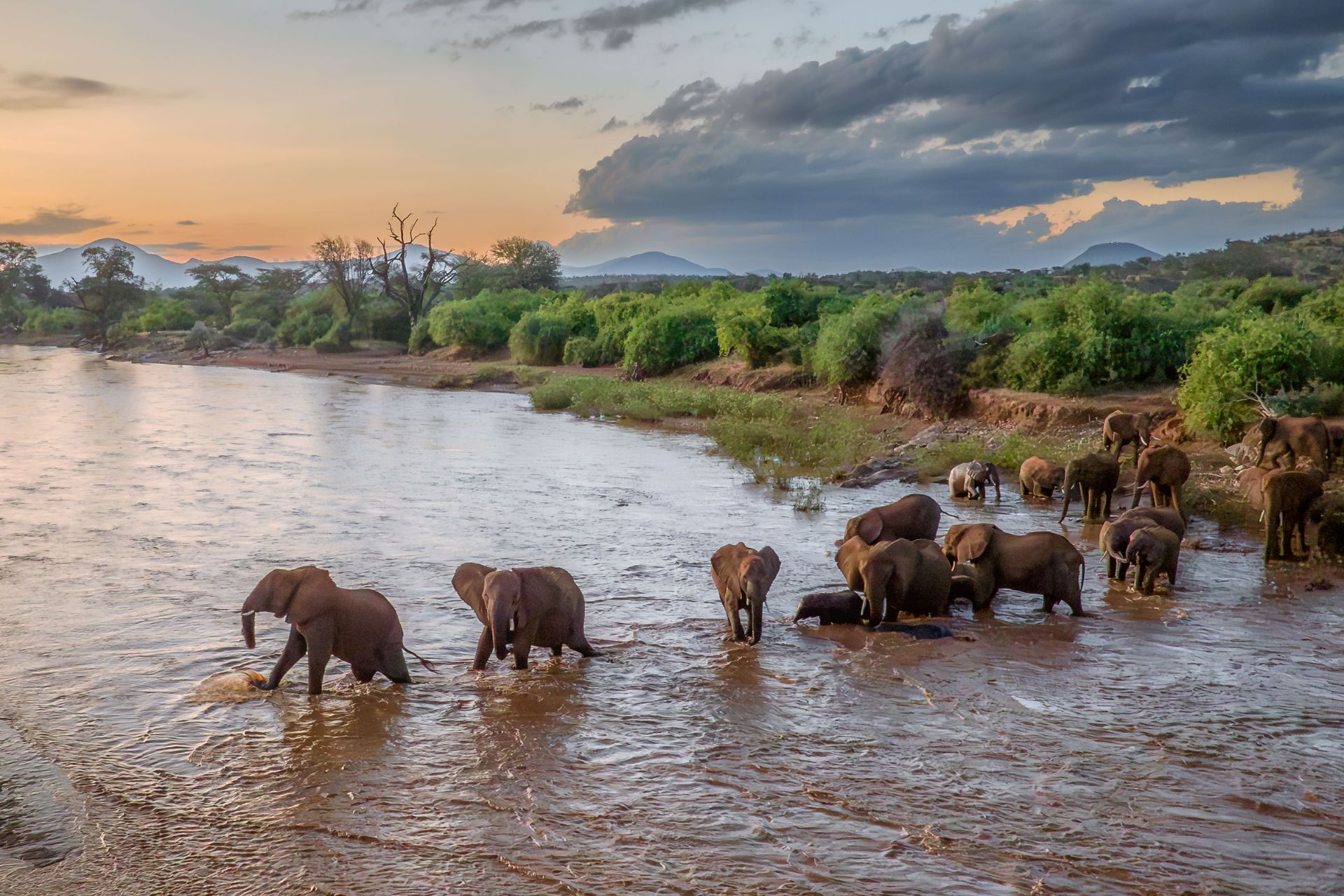 sambura kenya