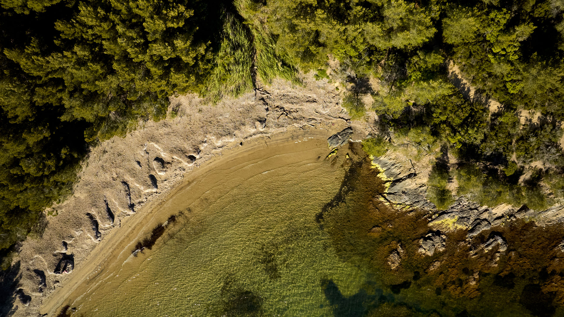 The Plage du Pellegrin