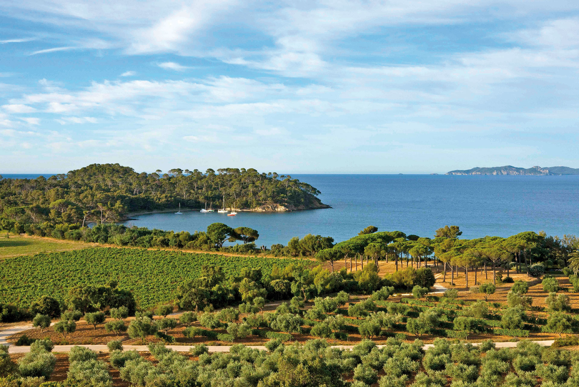 The Léoube estate