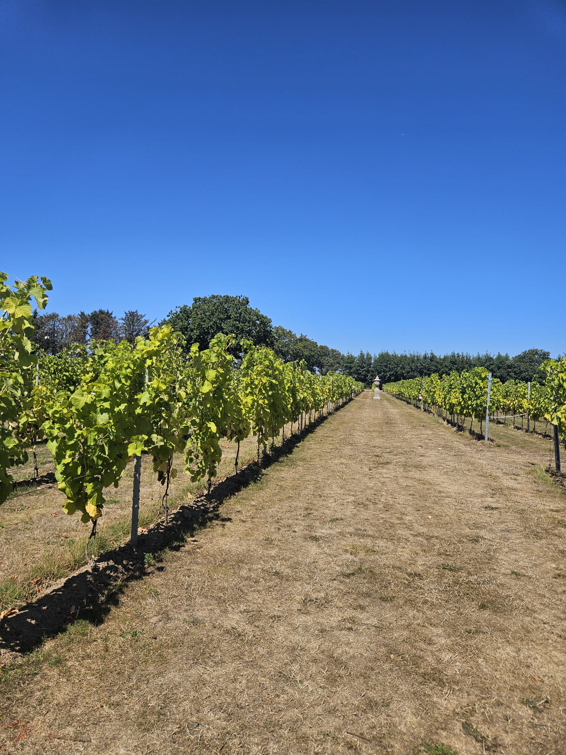 La Mare Wine Estate