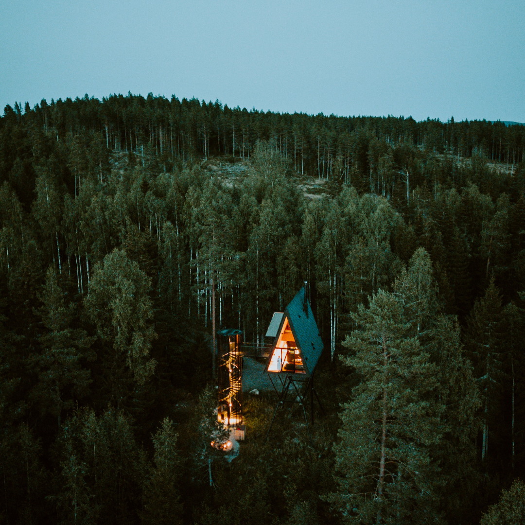 Pan Treetop Cabins