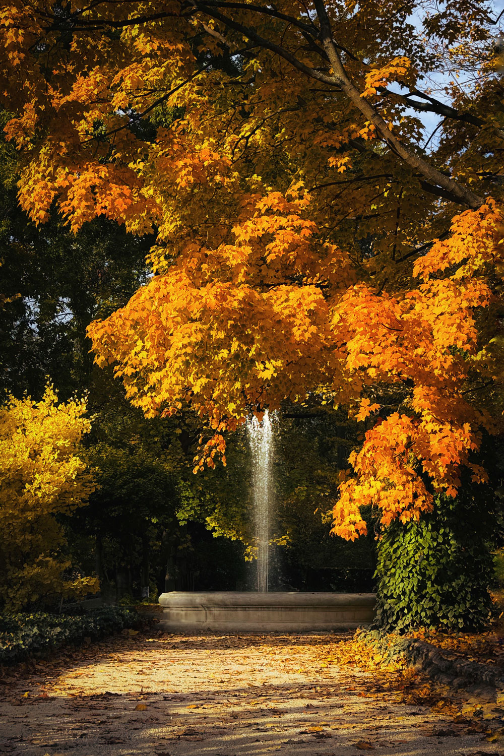 How To Mark The Autumn Equinox 2026