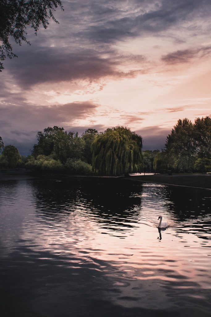 How To Start Wild Swimming This Autumn