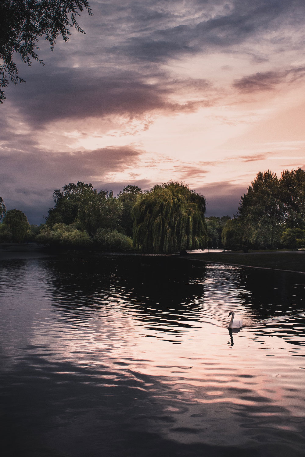 How To Start Wild Swimming This Autumn