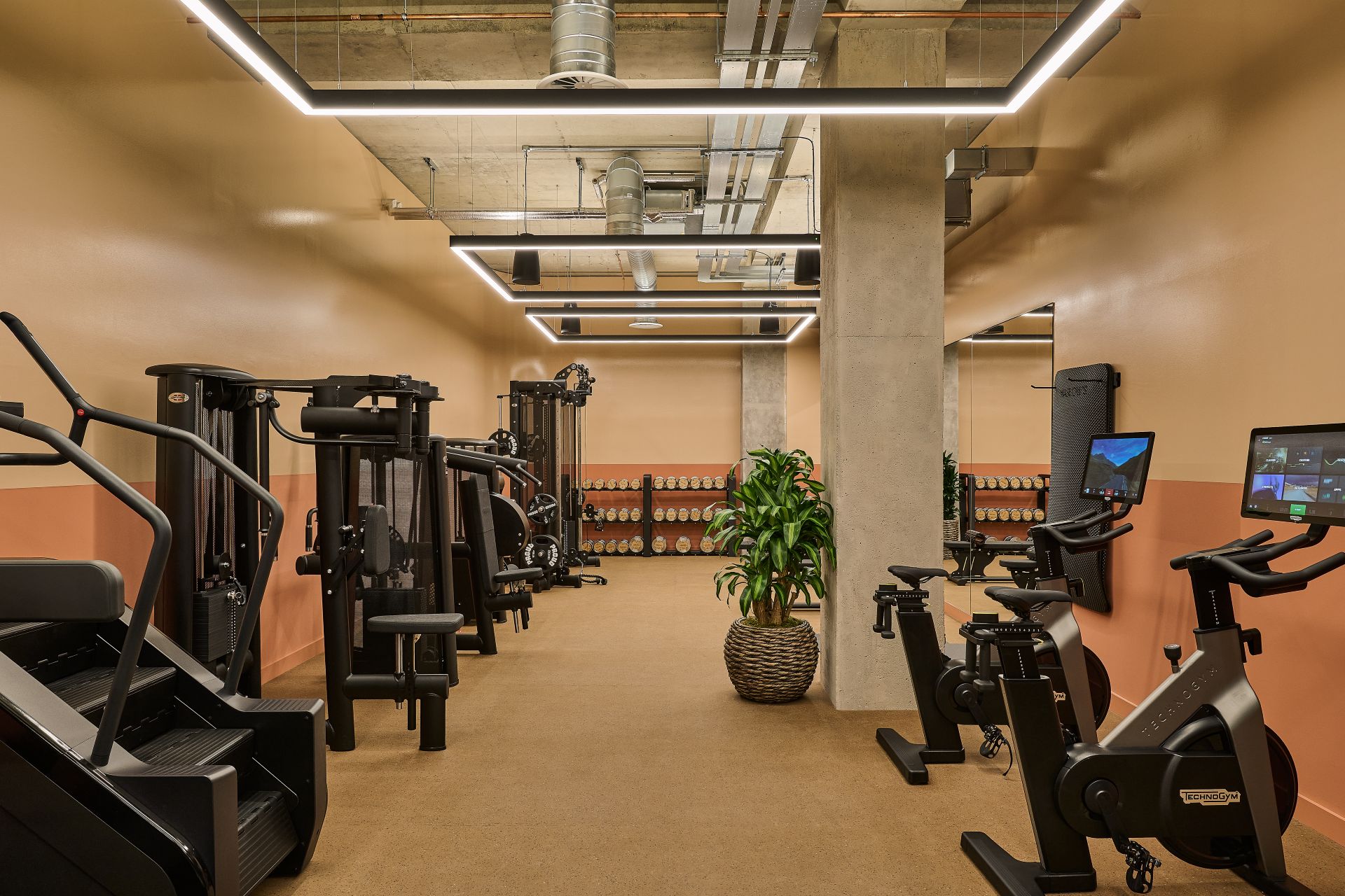 The Gym