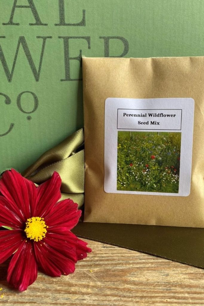 These Are The Seeds To Sow In October & How To Plant Them