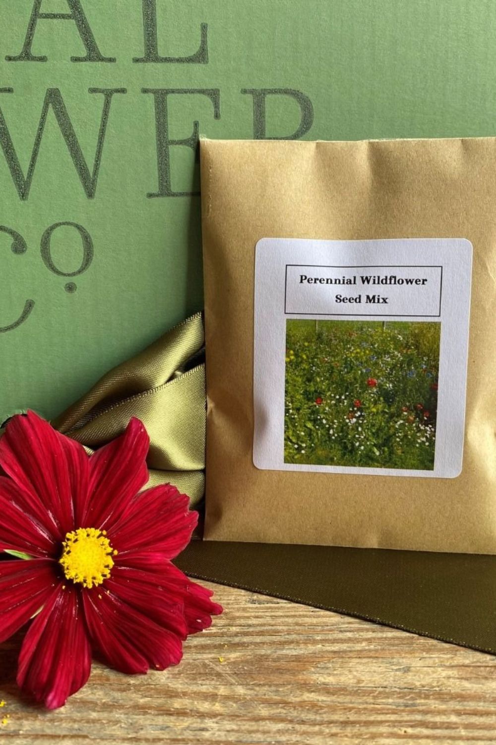 These Are The Seeds To Sow In October & How To Plant Them