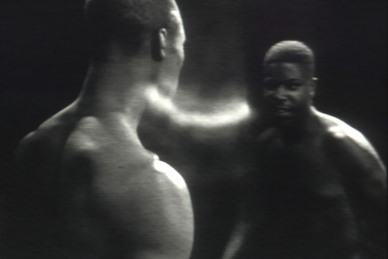 Sir Steve McQueen, Bear 1993 © Steve McQueen. Courtesy the artist, Thomas Dane Gallery and Marian Goodman Gallery. Tate.