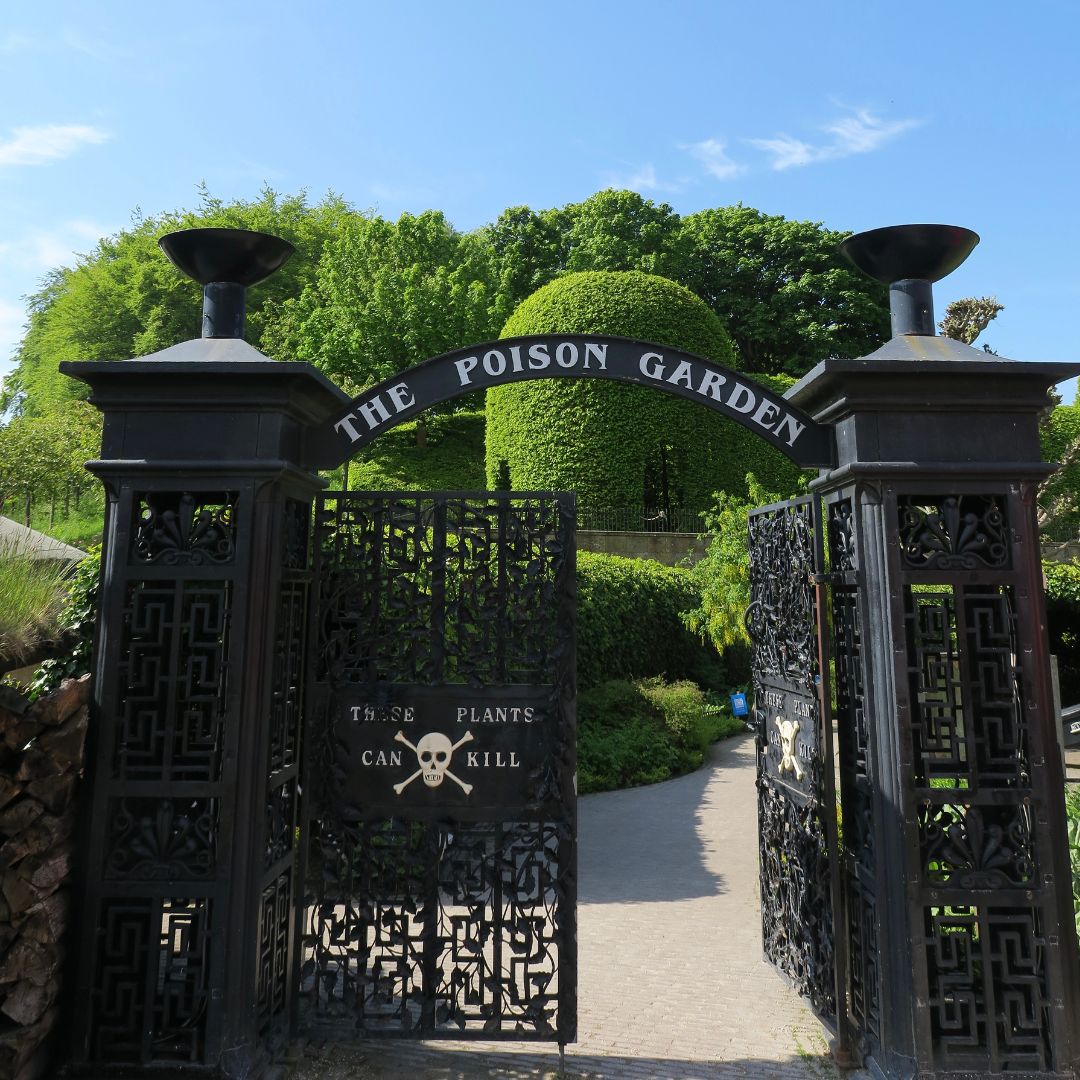 Alnwick Garden