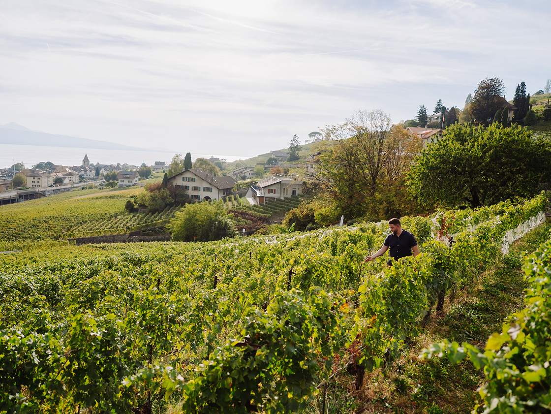 Switzerland Tourism