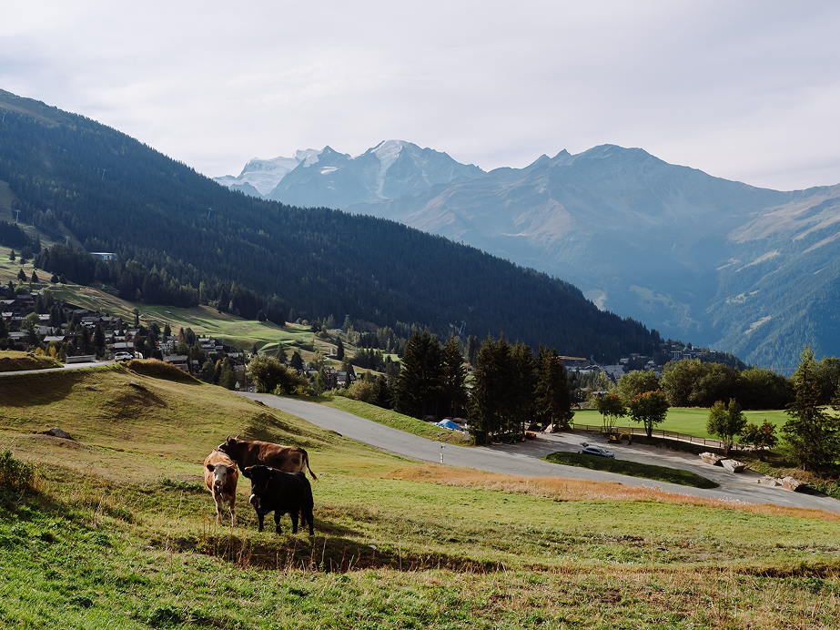 Switzerland Tourism