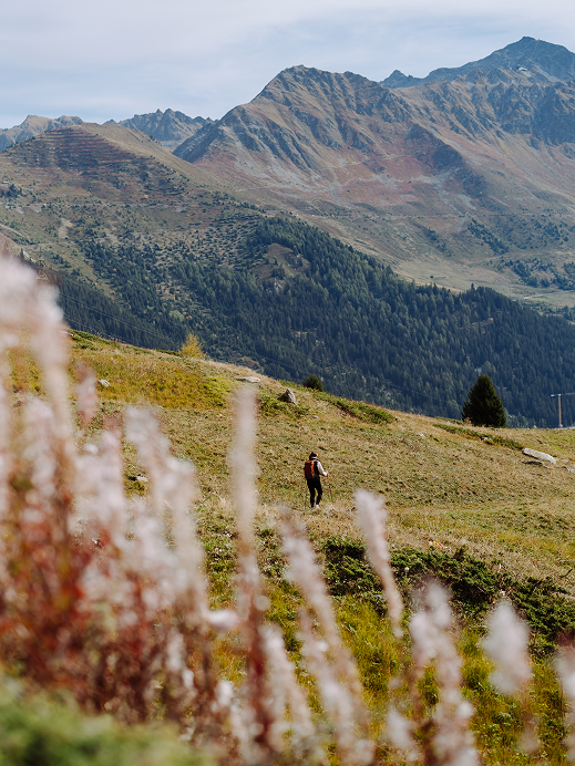 Switzerland Tourism