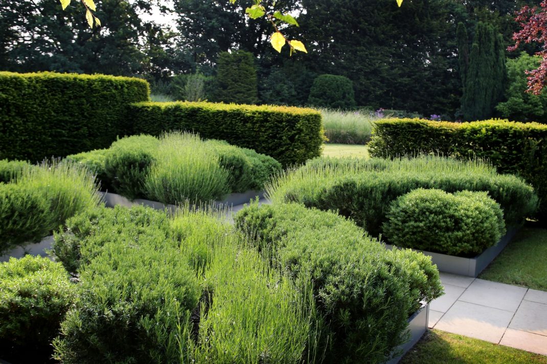 How To Make Your Garden Climate Resilient