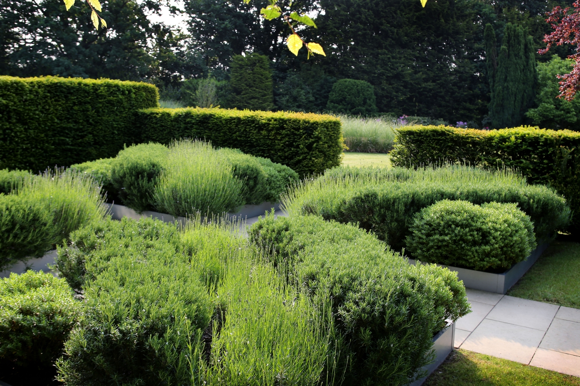 How To Make Your Garden Climate Resilient
