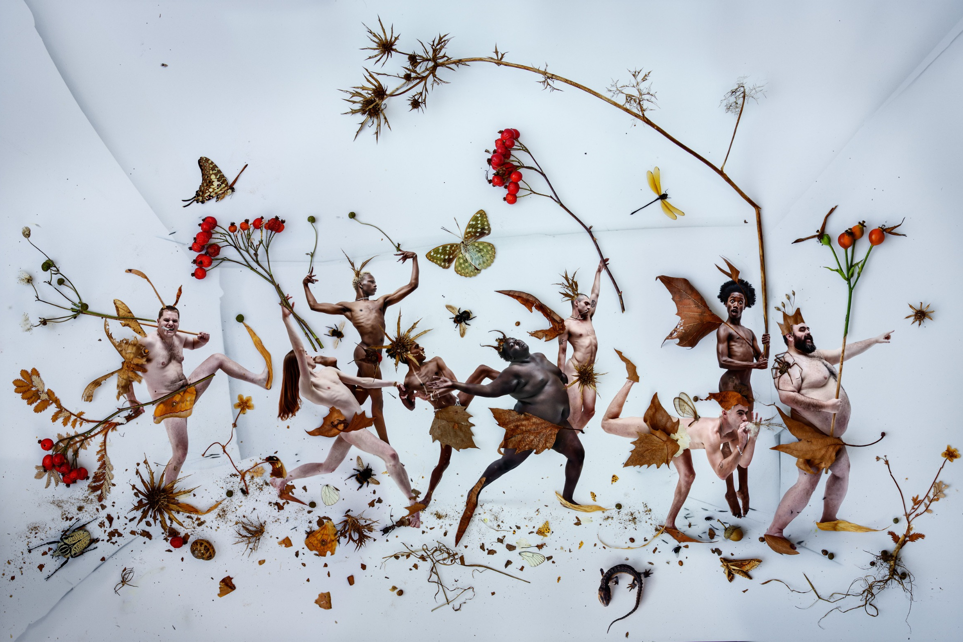 Tim Walker's Fairyland